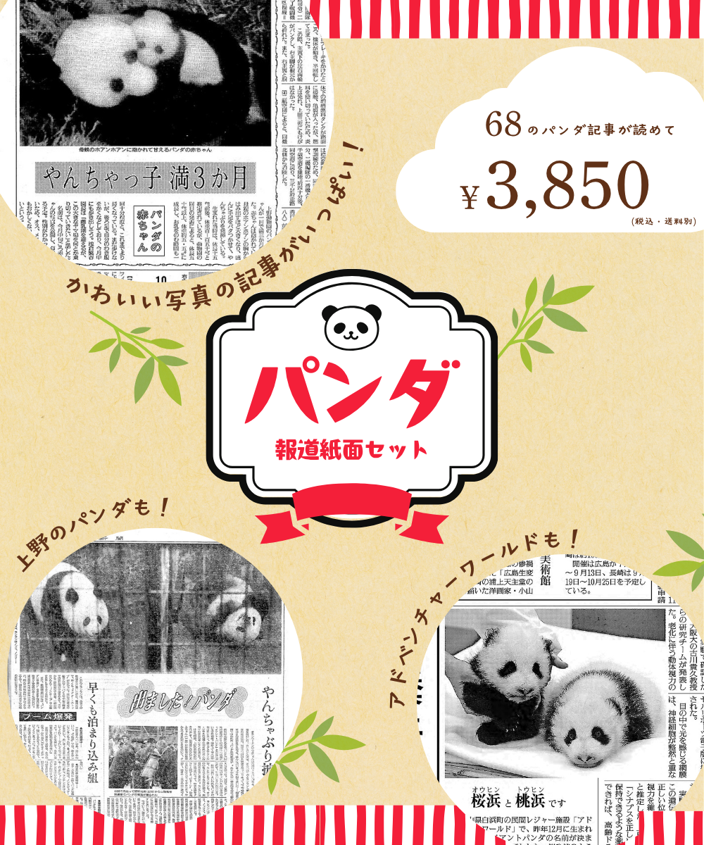 パンダ紙面セットバナーNEWなし.png