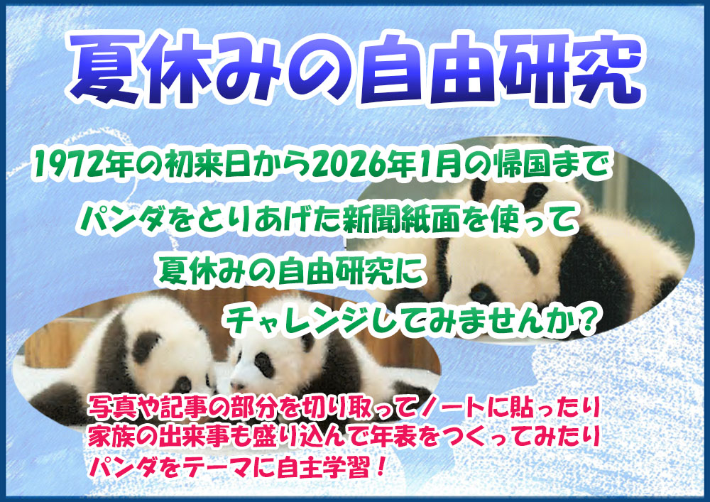 夏休みの自由研究パンダ7.jpg