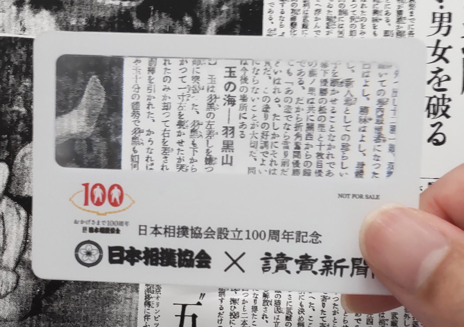 大相撲カードルーペ.jpg