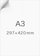 A3